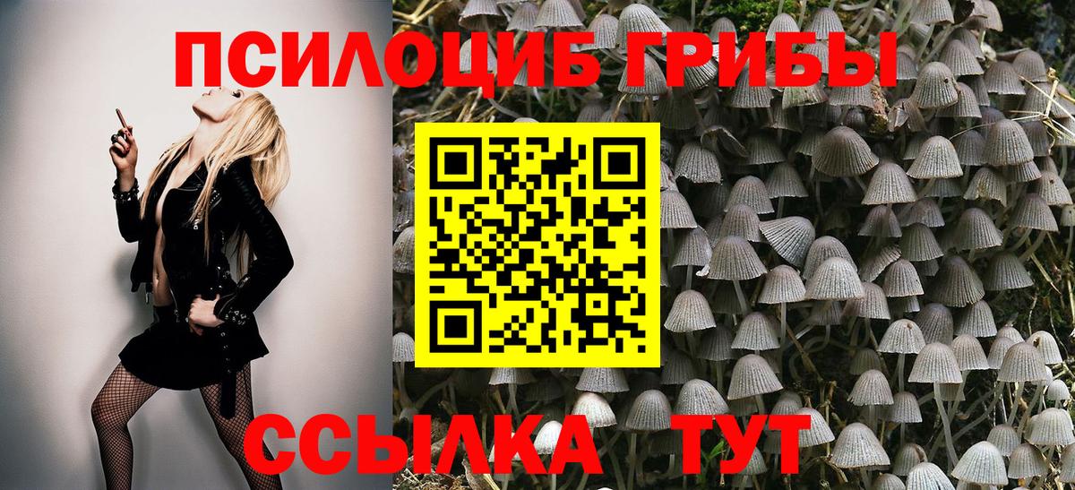 Псилоцибиновые грибы MAGIC MUSHROOMS Бугуруслан