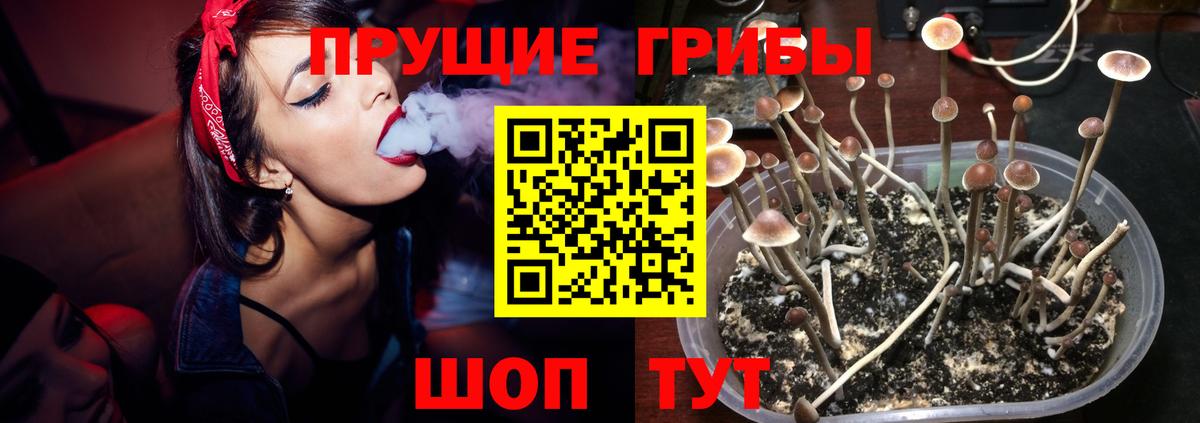 Бугуруслан  Псилоцибиновые грибы Psilocybine cubensis  Вход с VPN  Галлюциногенные грибы мухоморы 